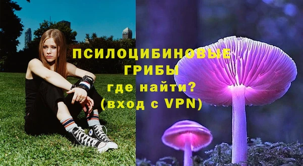 Альфа ПВП Алексеевка