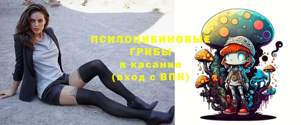 индика Алзамай