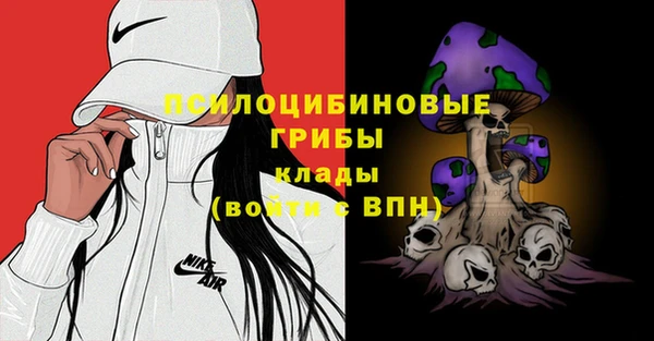 гидра Абинск